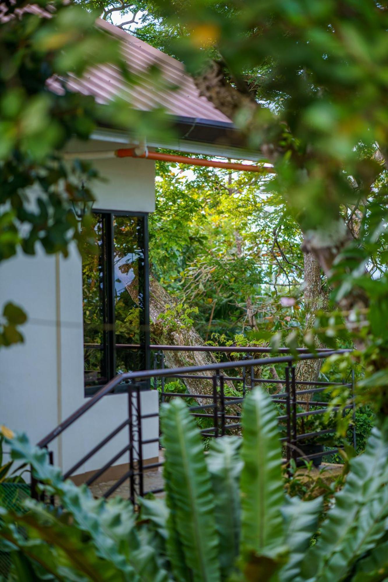 Oceanside 2 Bedroom House, 100Mbps Wifi Panglao Eksteriør bilde
