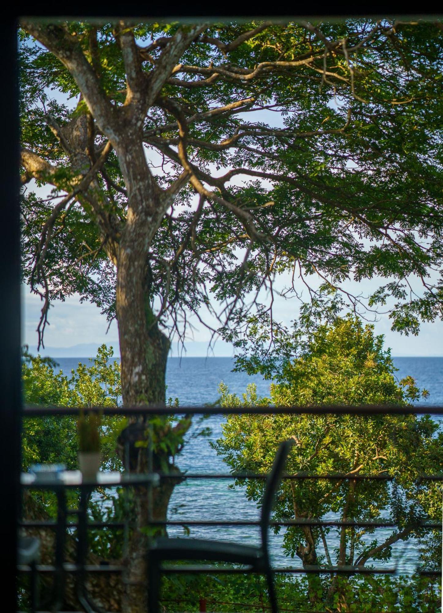 Oceanside 2 Bedroom House, 100Mbps Wifi Panglao Eksteriør bilde