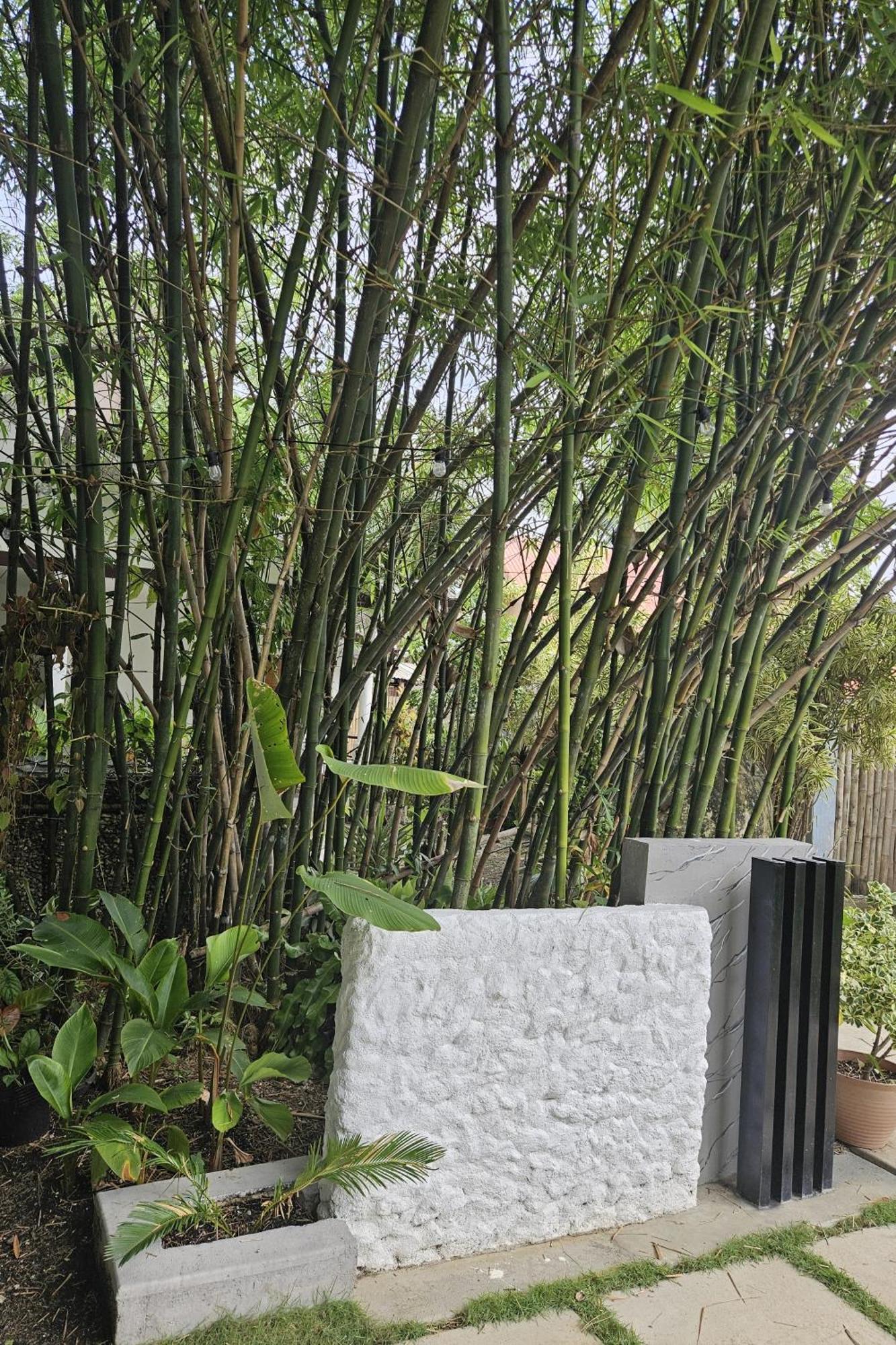 Oceanside 2 Bedroom House, 100Mbps Wifi Panglao Eksteriør bilde