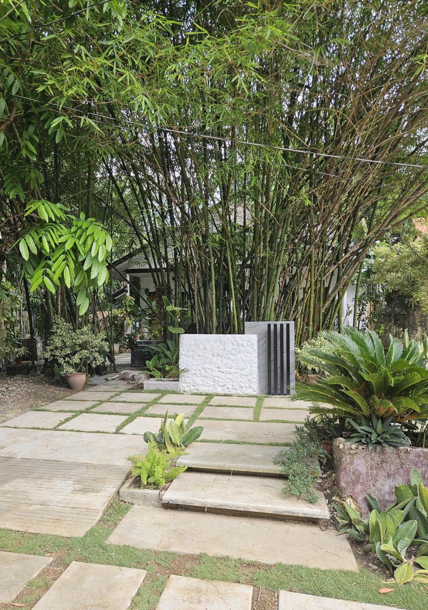 Oceanside 2 Bedroom House, 100Mbps Wifi Panglao Eksteriør bilde